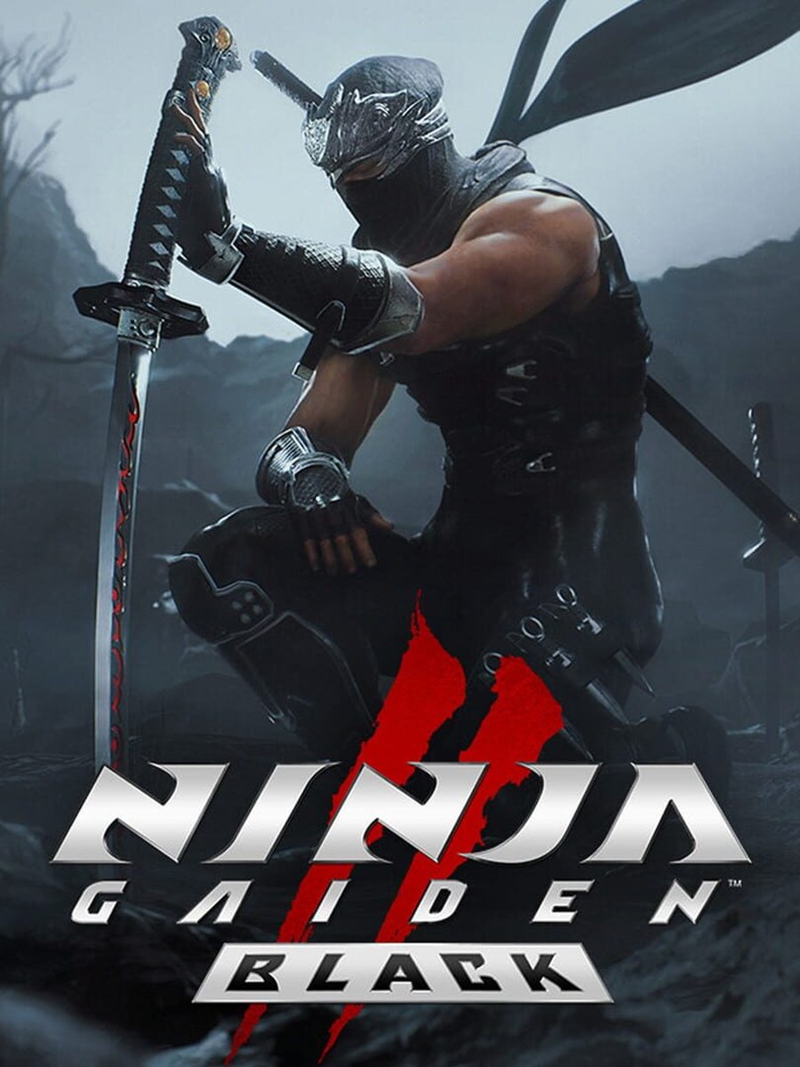 Ninja Gaiden 2: Black cover art.