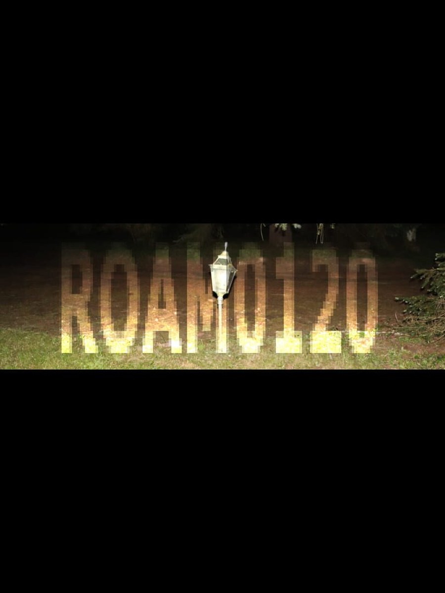 ROAM0120 cover art.