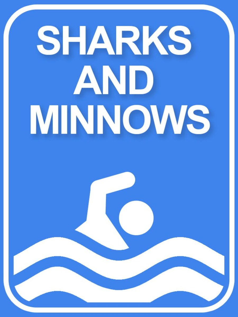 Sharks and Minnows cover art.